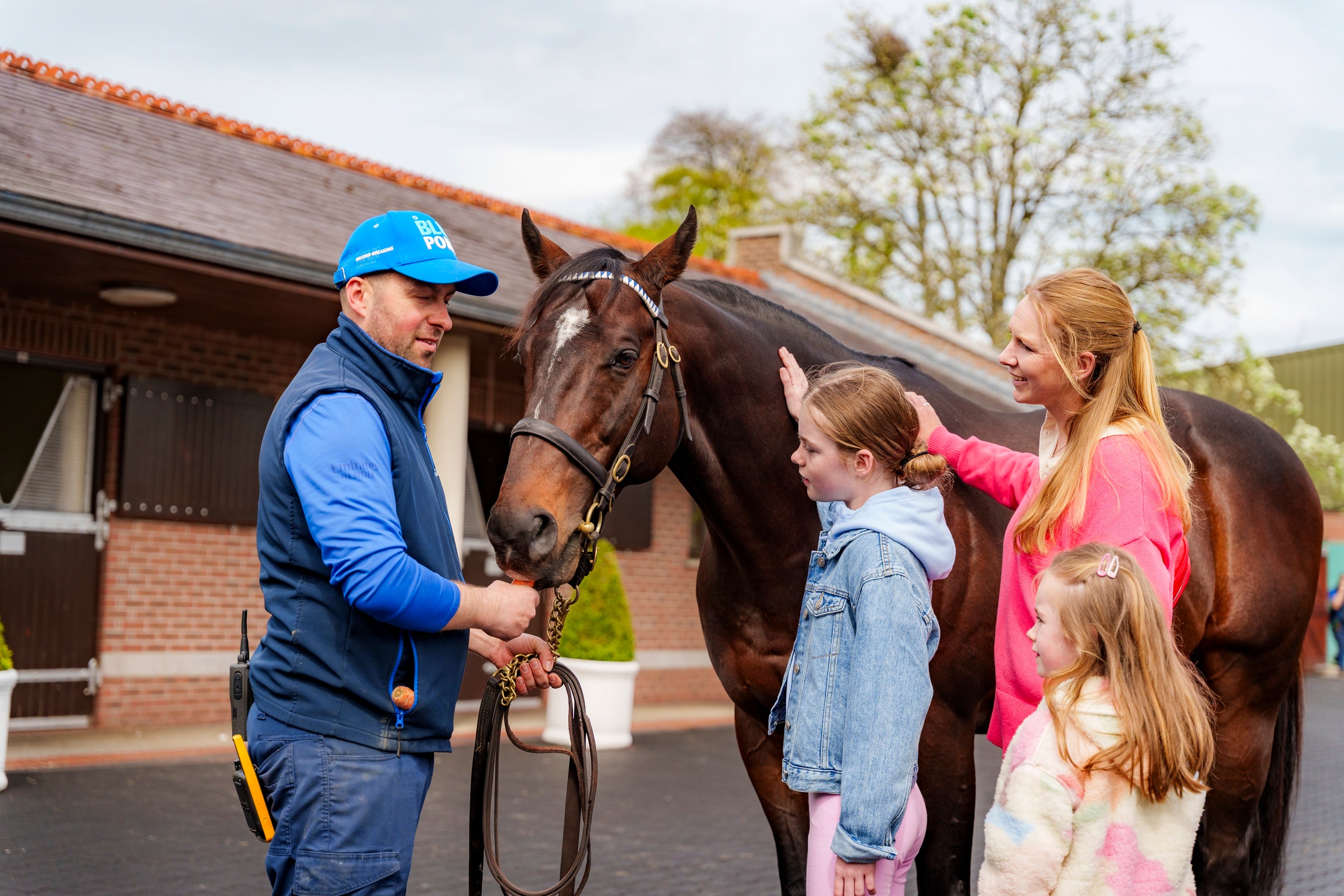 Horse Country New Experience Development Programme