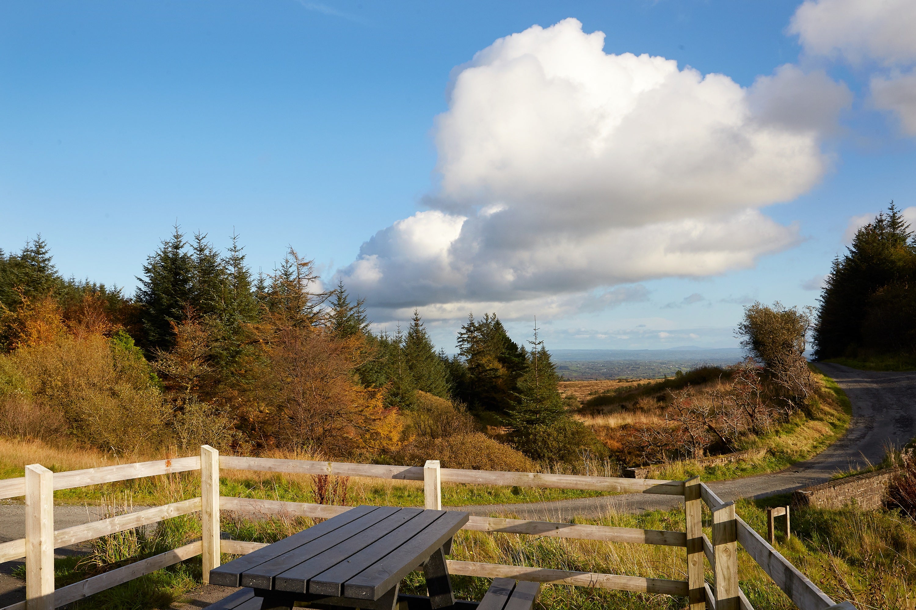 Develop a destination and placemaking plan for Patrick Kavanagh Country