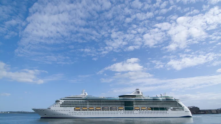 A cruise ship in the water