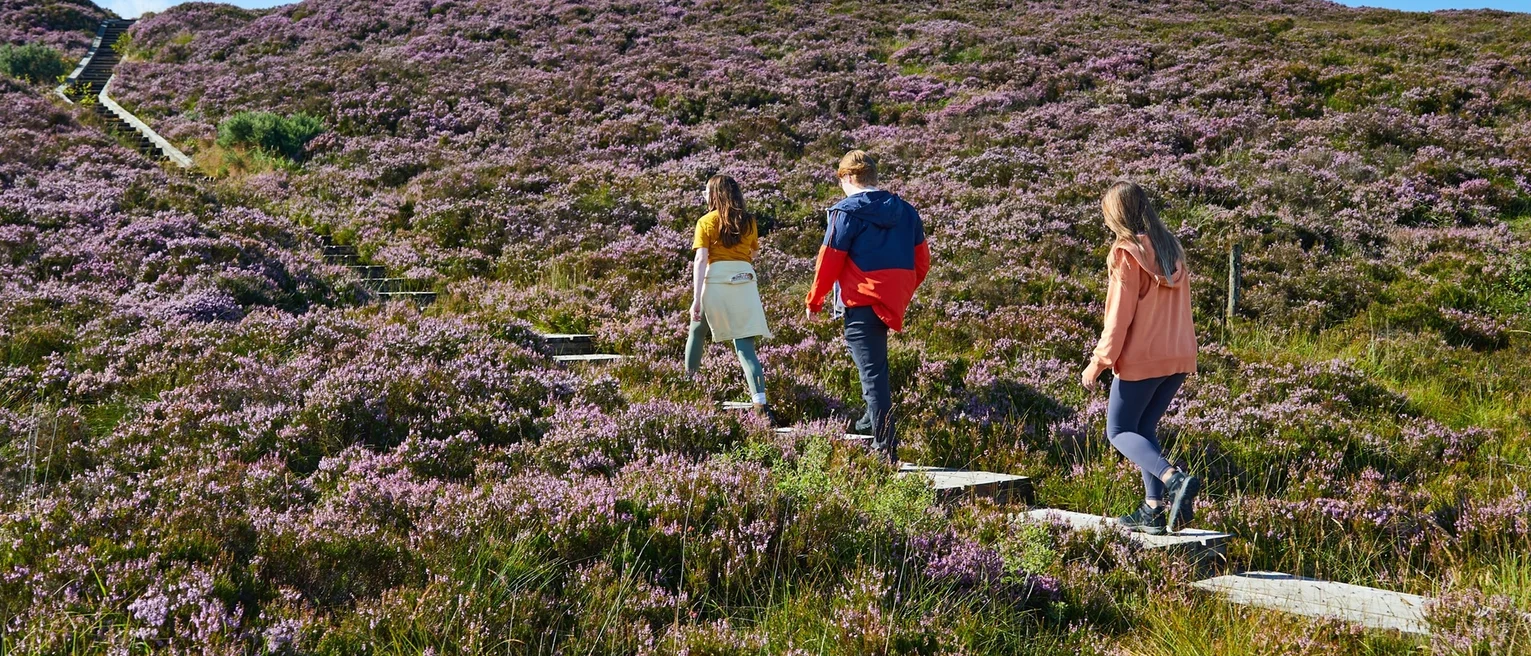 €3.6 million for 24 midlands tourism projects