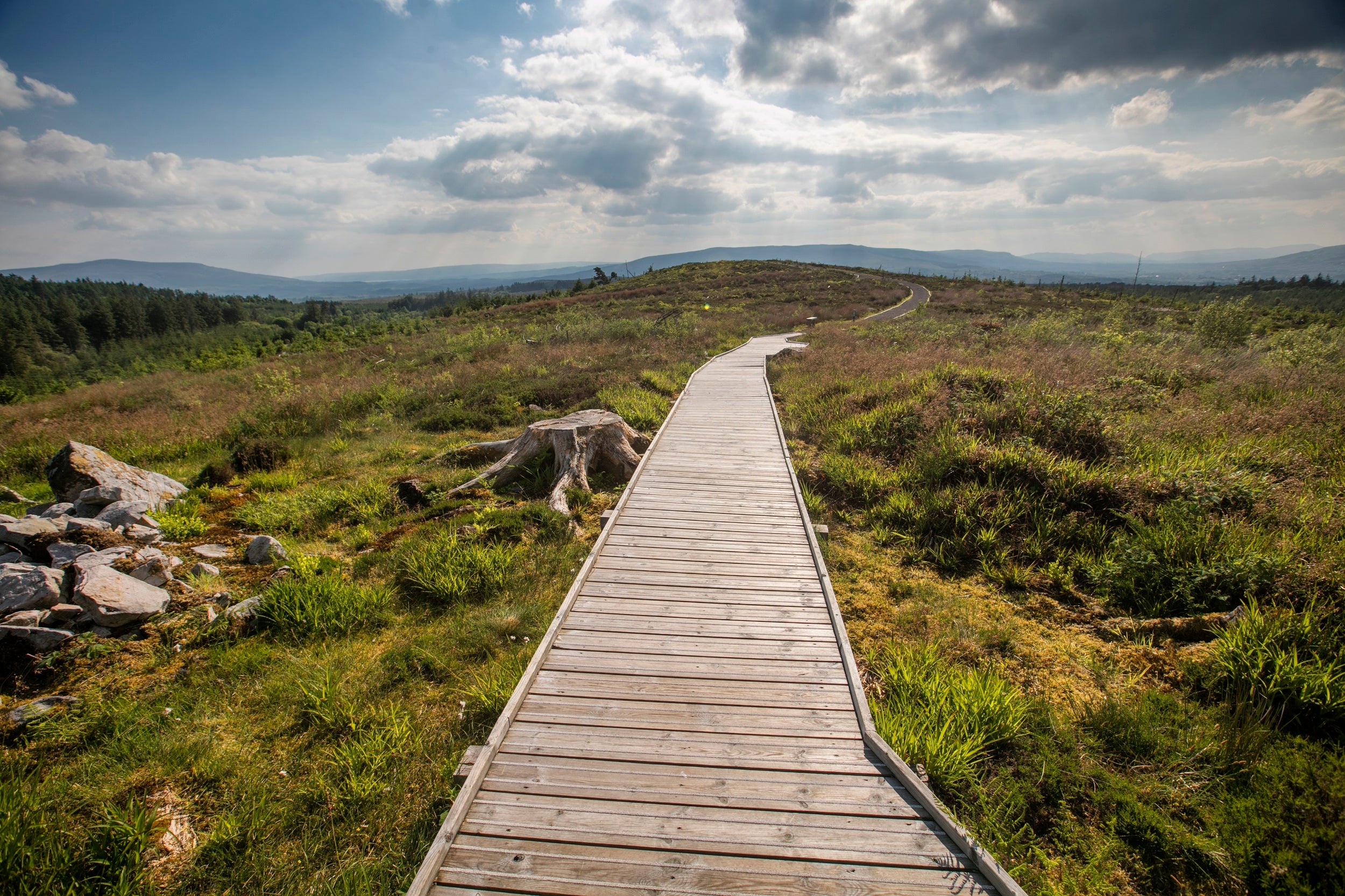 Champions Programme: Upper Shannon Shannon Erne Border workshop