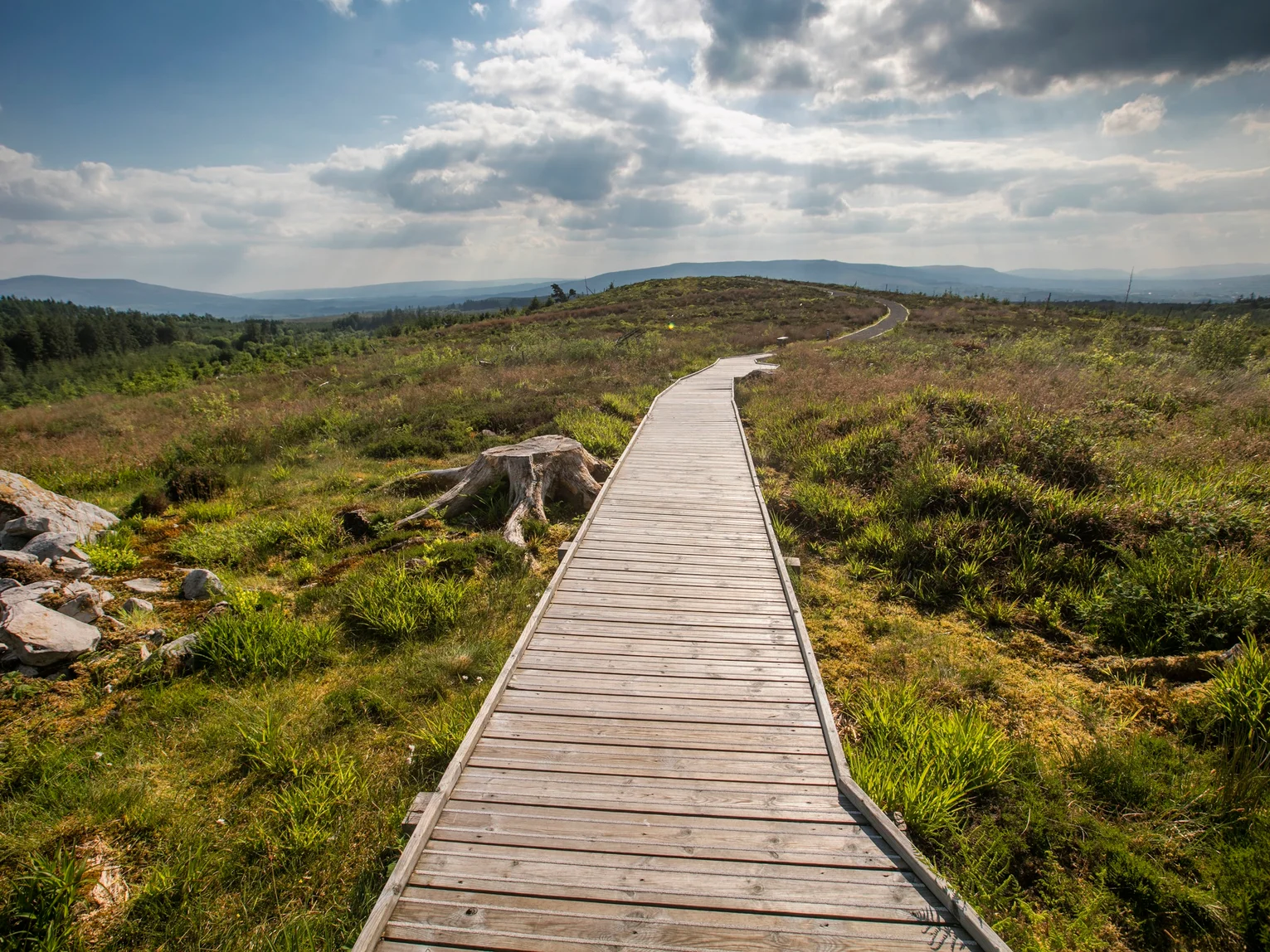 Champions Programme: Upper Shannon Shannon Erne Border workshop