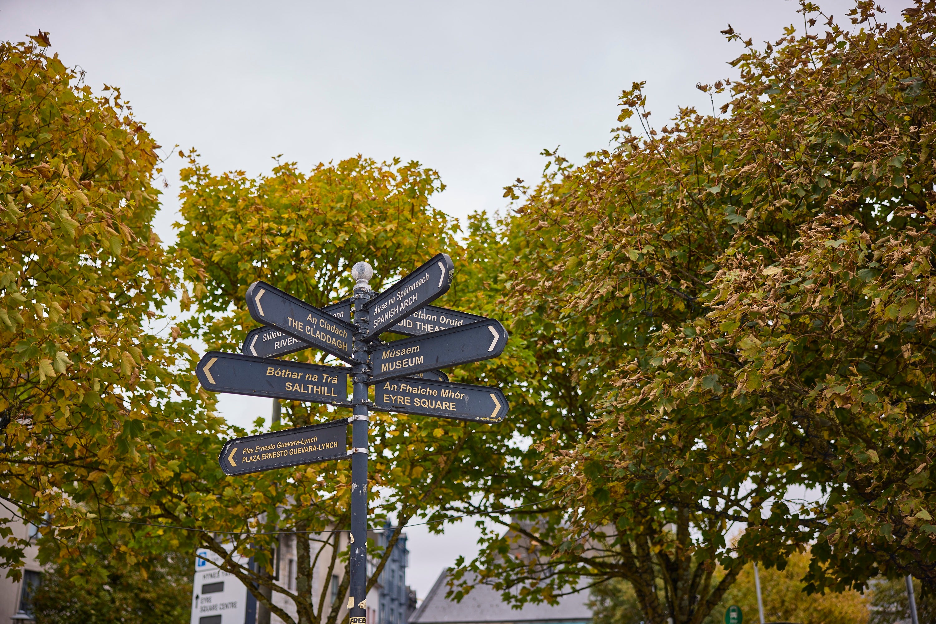 Bilingual City Initiatives