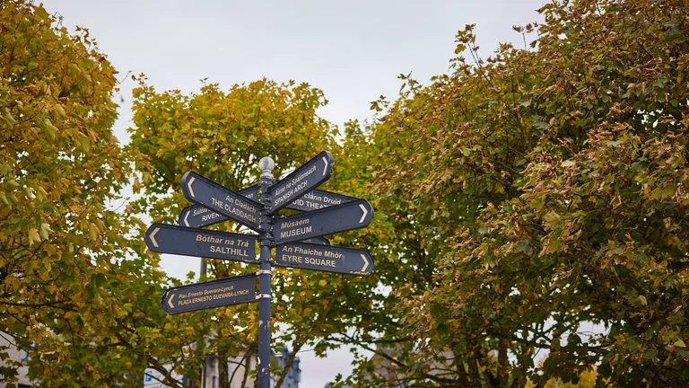 Bilingual City Initiatives