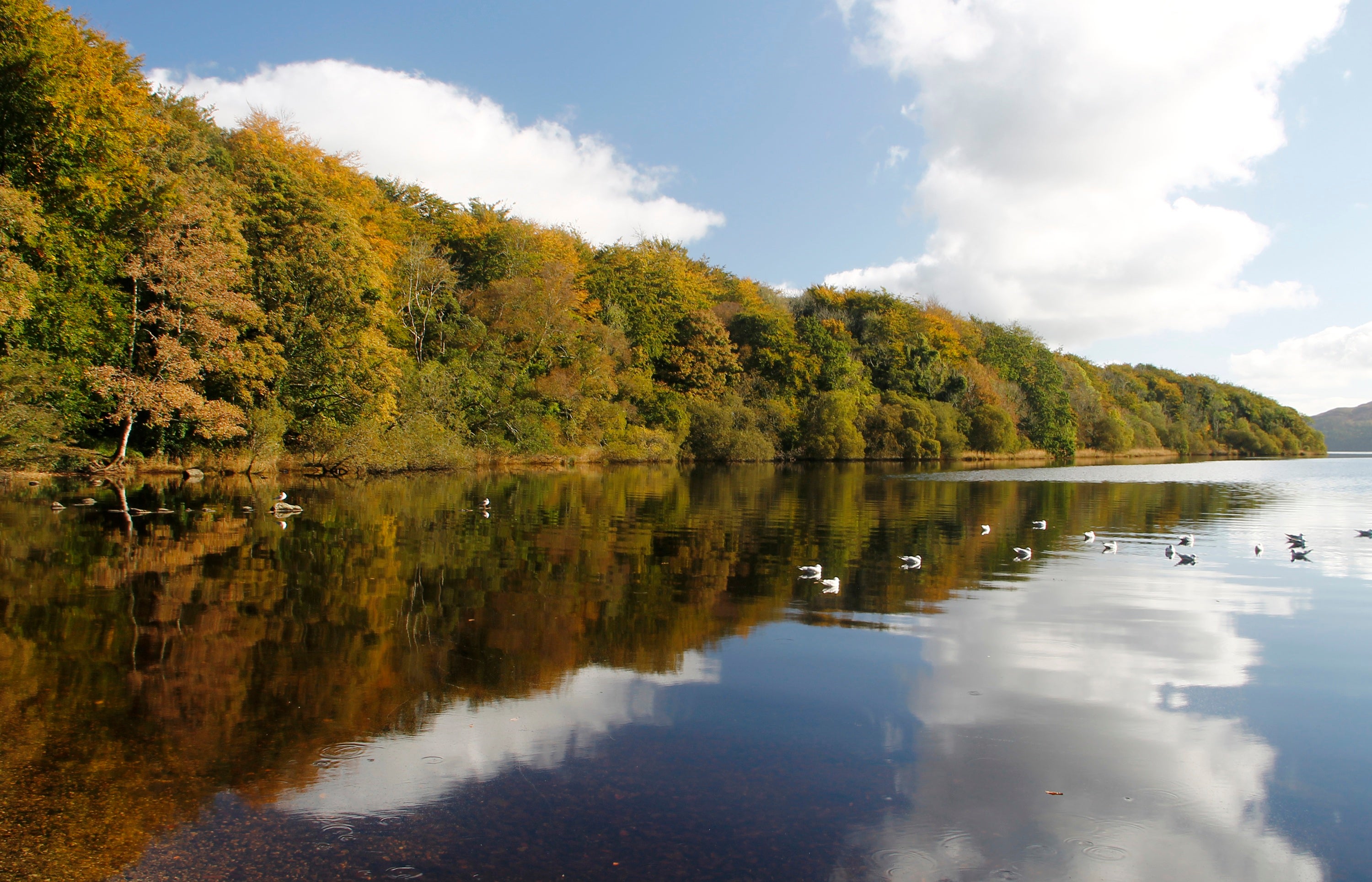 Attraction of scale: Hazelwood Demesne