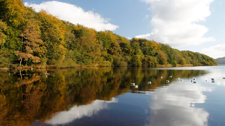Attraction of scale: Hazelwood Demesne