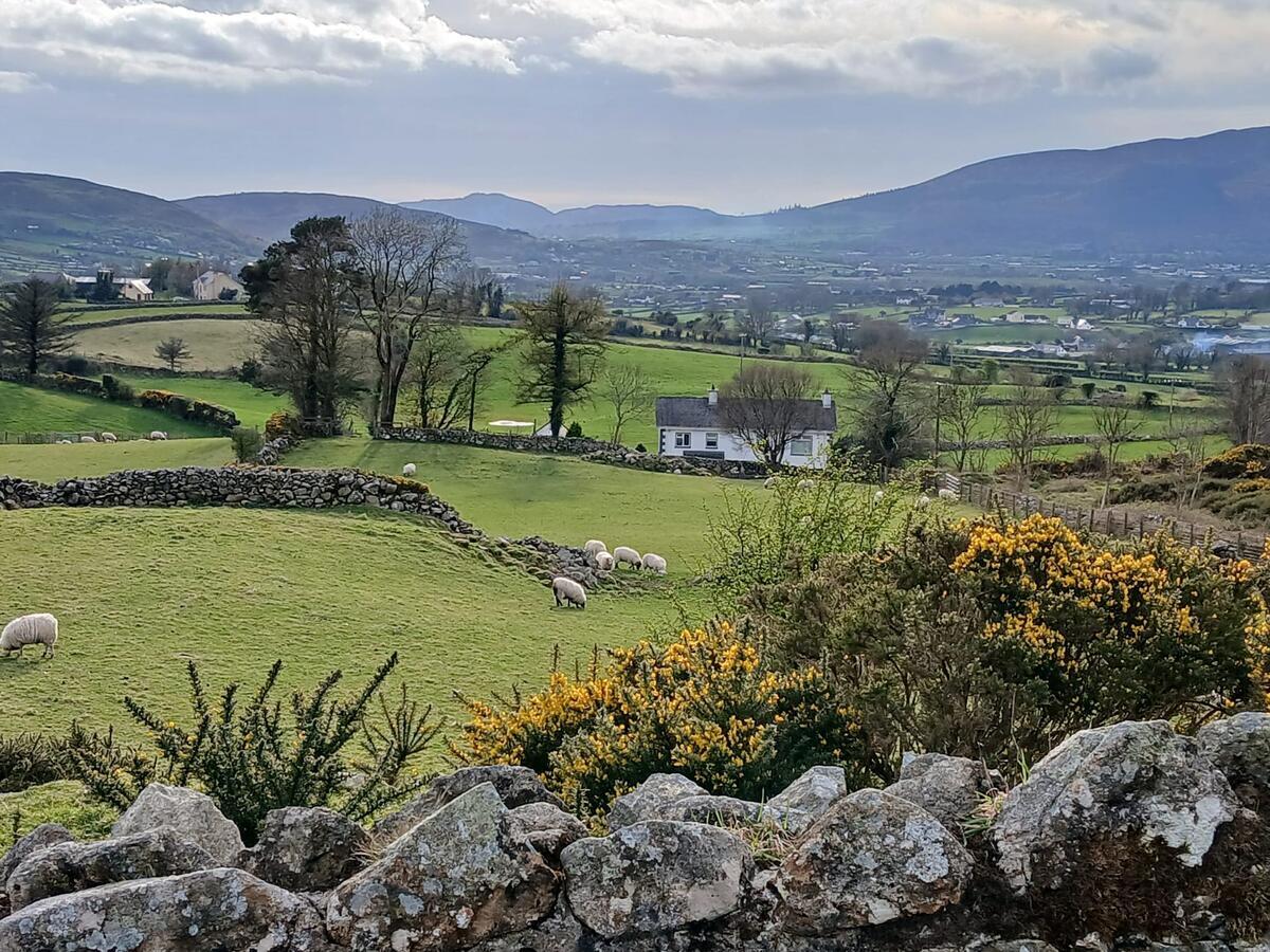 Tourism Businesses' Sentiment Survey May 2026