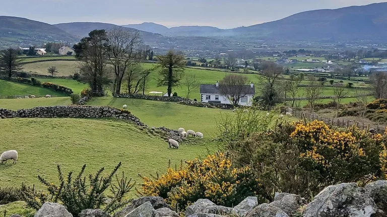 Tourism Businesses' Sentiment Survey May 2026