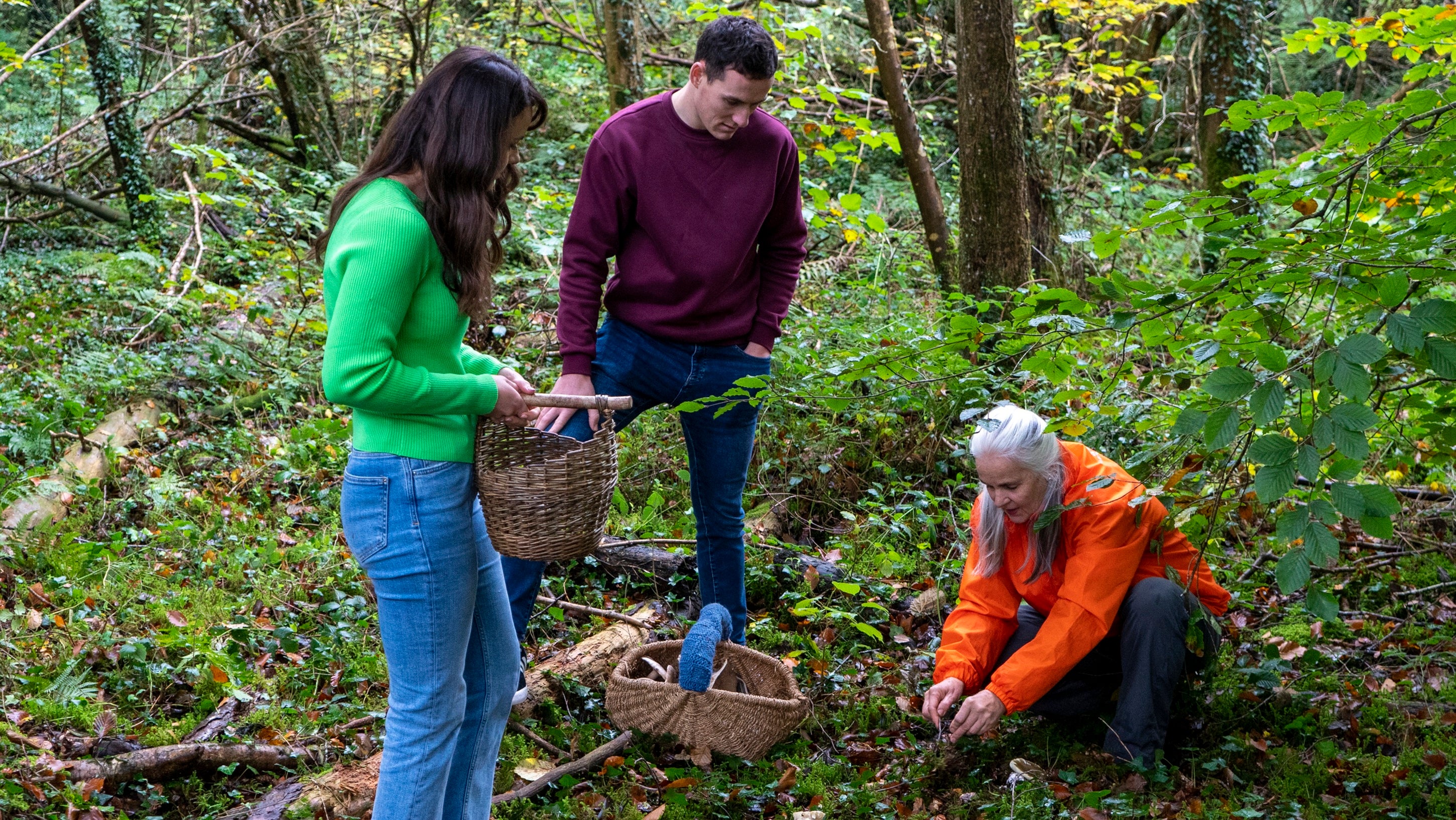Environmental surveying and monitoring reports