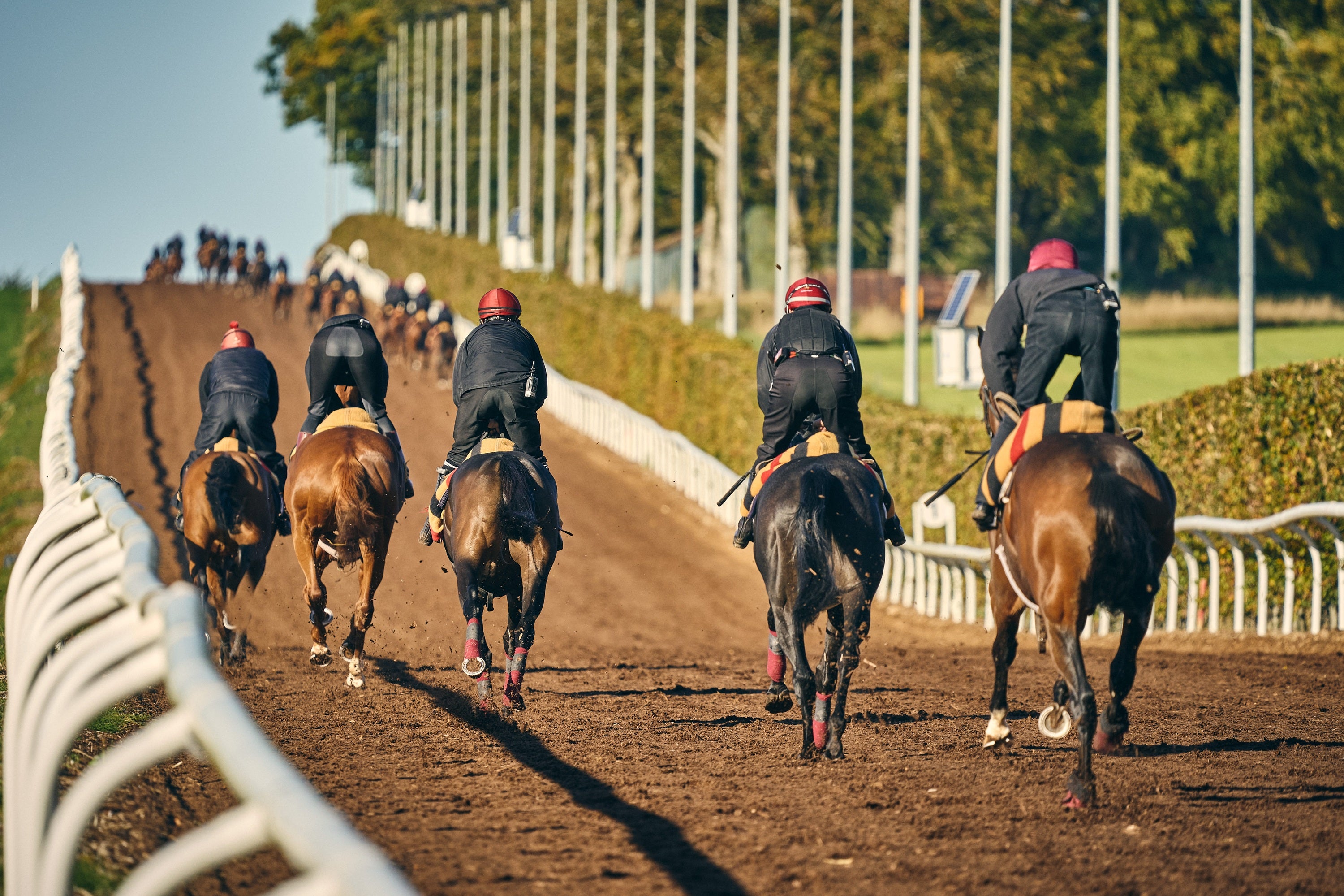 A group of people riding horses on a track