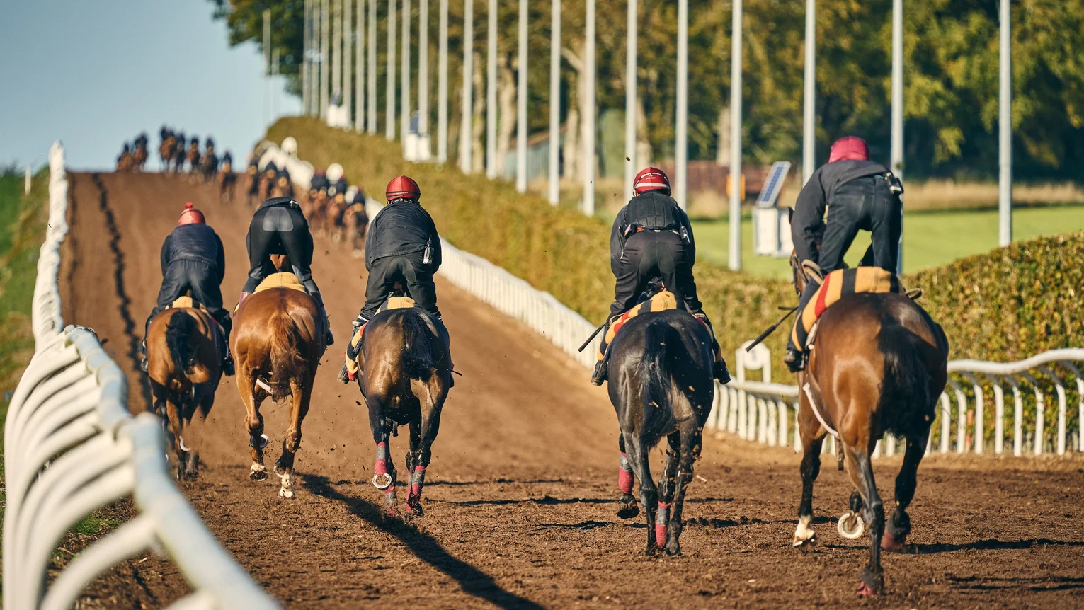 A group of people riding horses on a track