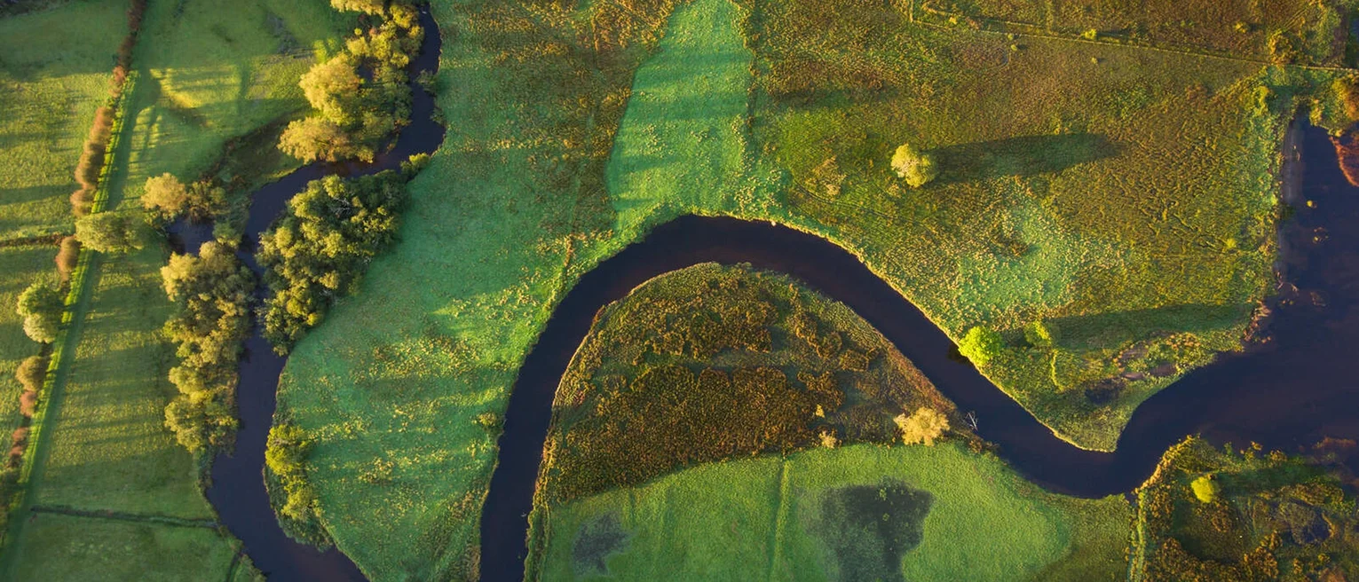 A river running through a green field