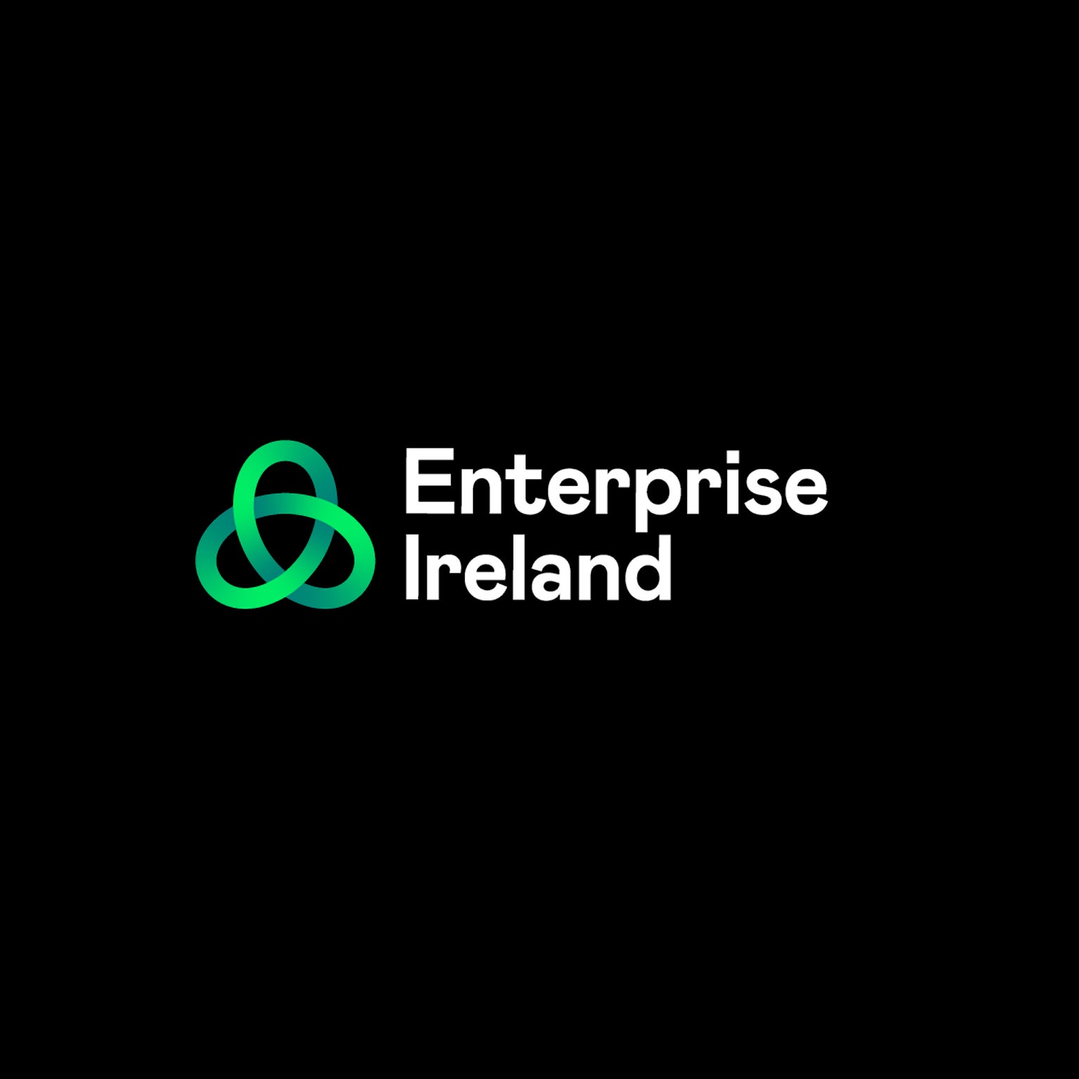 LeanPlus business grant