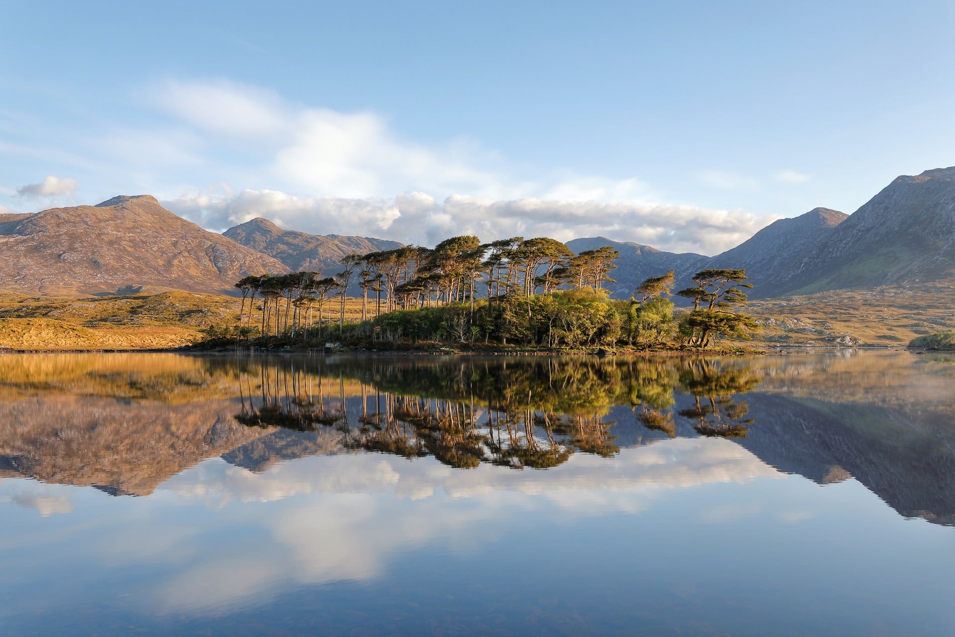 Luxury in Ireland webinar