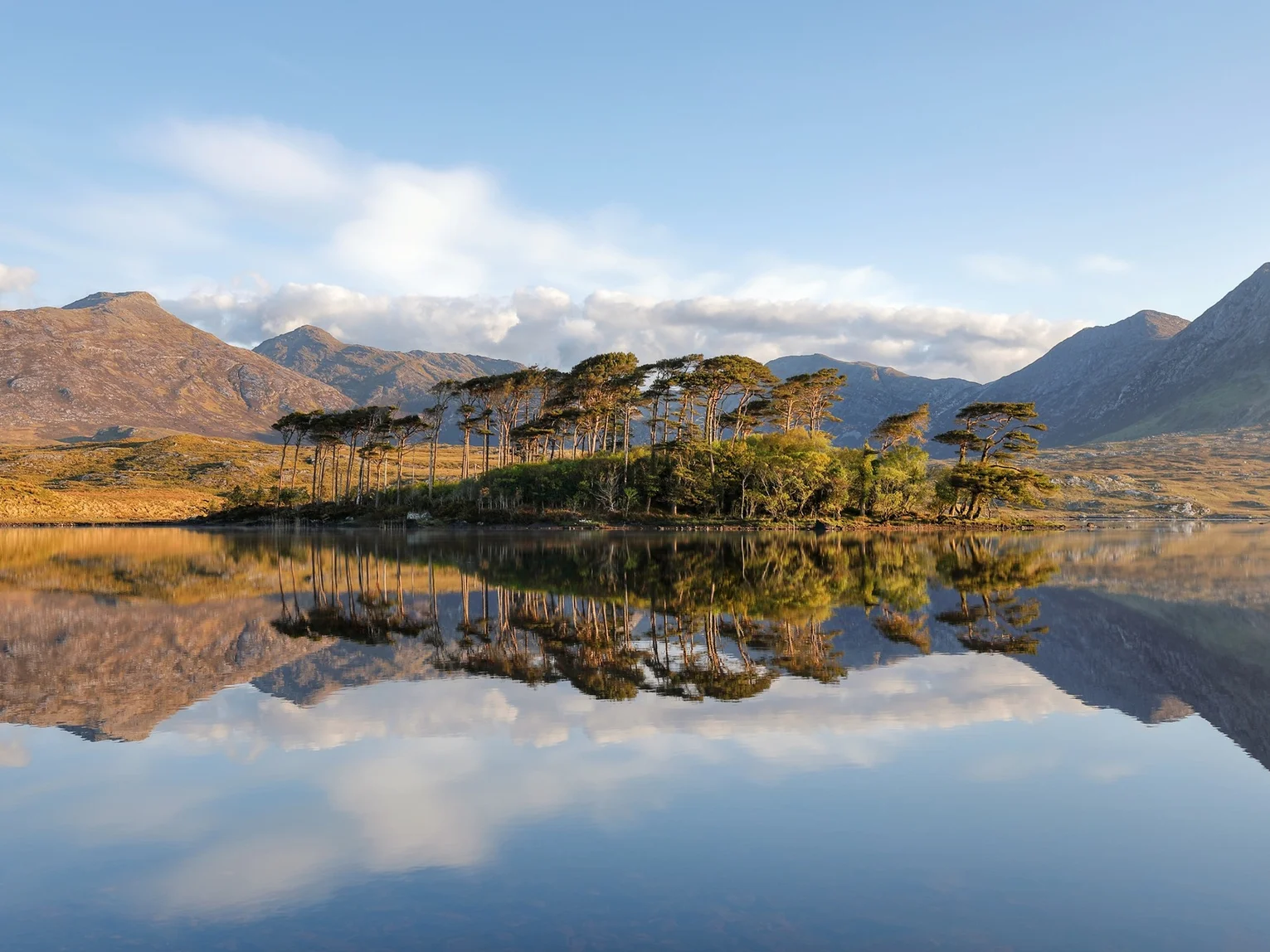 Luxury in Ireland webinar